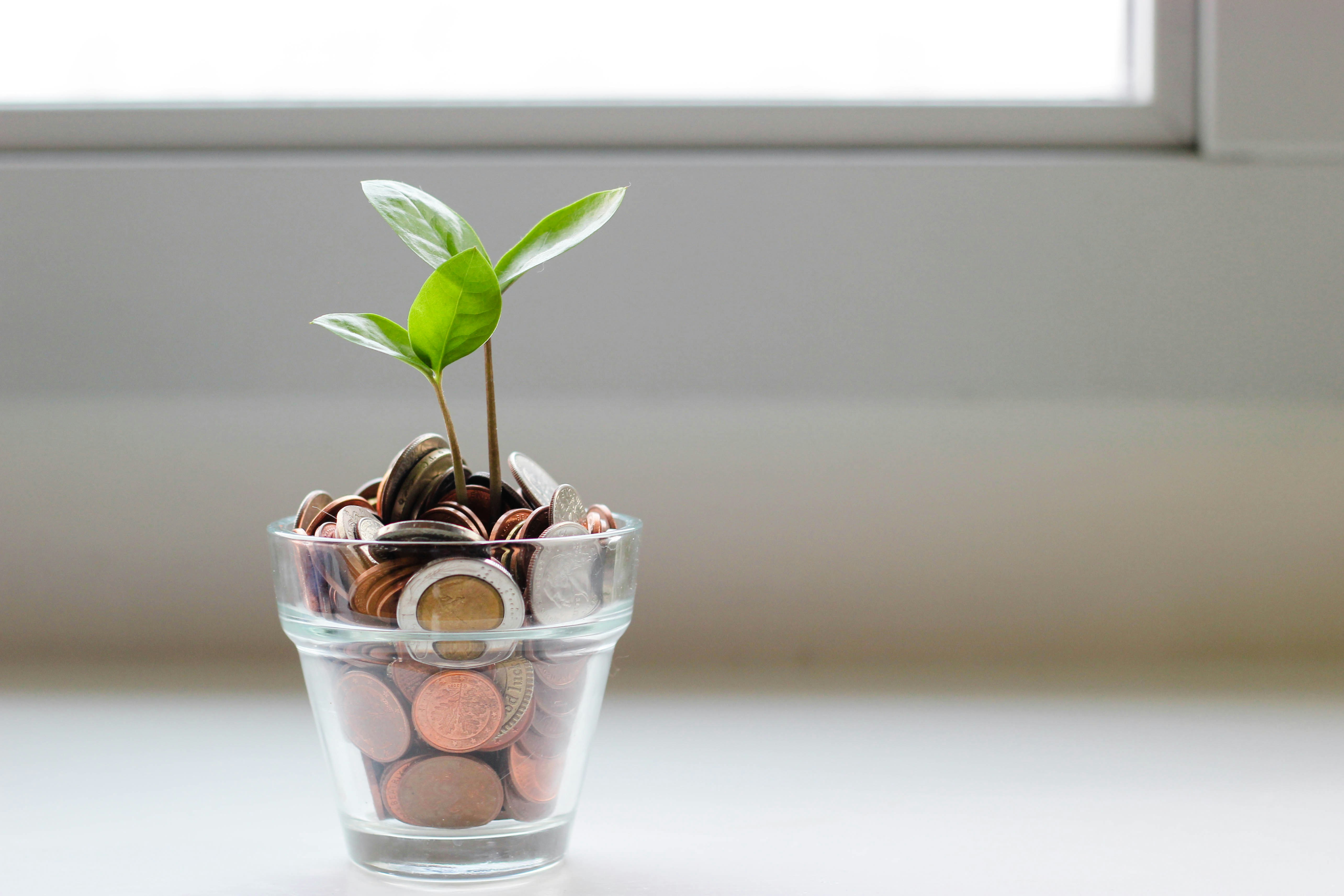 High-Yield Savings Accounts vs. CDs: Where To Park Your Cash?